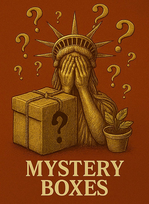 ⚜️ MYSTERY BOXES